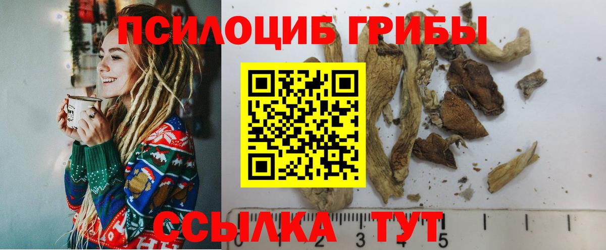 Псилоцибиновые грибы прущие грибы Великий Новгород